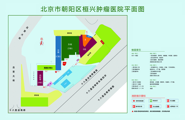 逼逼片骚逼片北京市朝阳区桓兴肿瘤医院平面图